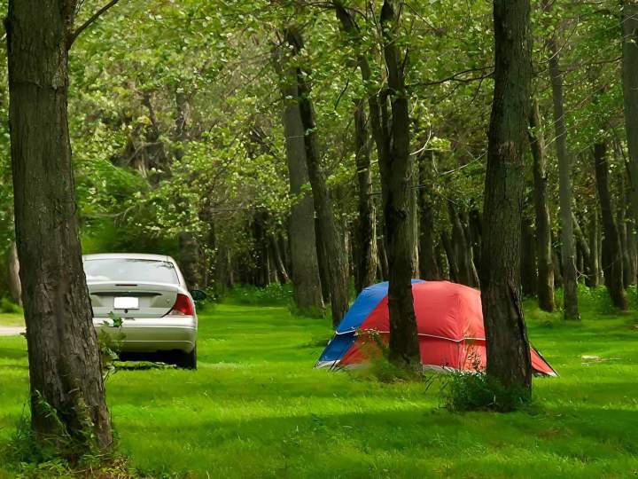 Location de terrains de camping à Venise-en-Québec