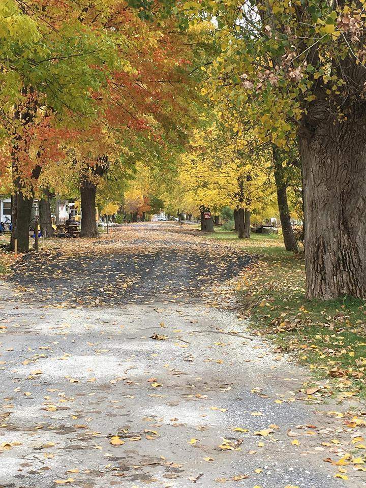 Camping Domaine Venise-en-Québec