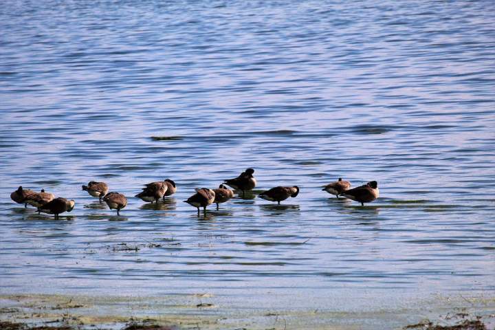 Lac Venise-en-Québec